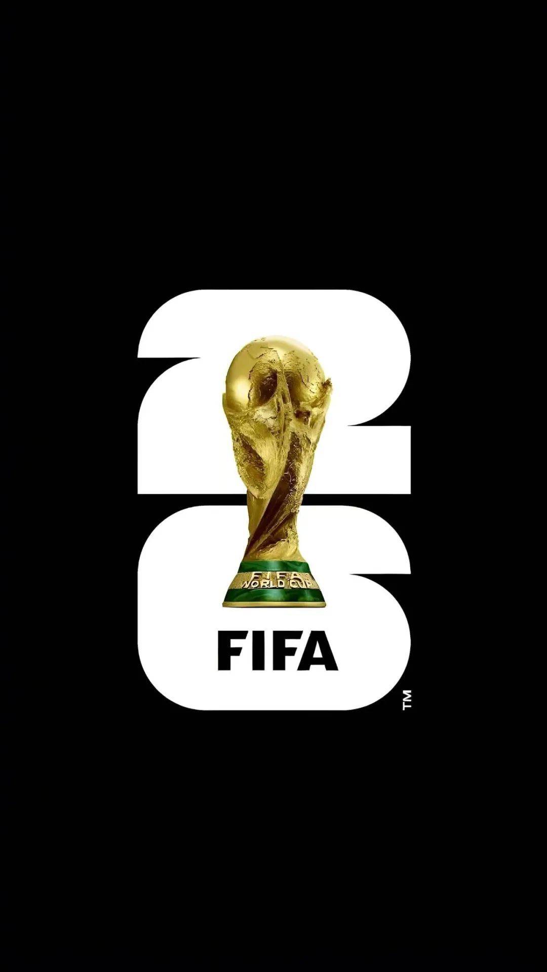 米乐官网登录-匈牙利国家队豪取胜利，欧预赛一骑绝尘的简单介绍