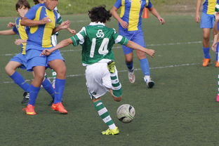 米乐m6体育官网-山东鲁能客场不敌武汉卓尔，遭遇两连败，山东鲁能泰山武汉卓尔